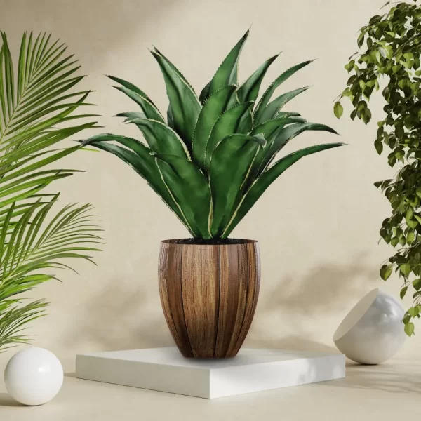 Vaso Agave