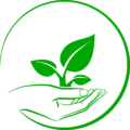 Vida Verde Plantas